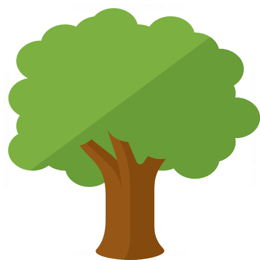 Kauri Computer
